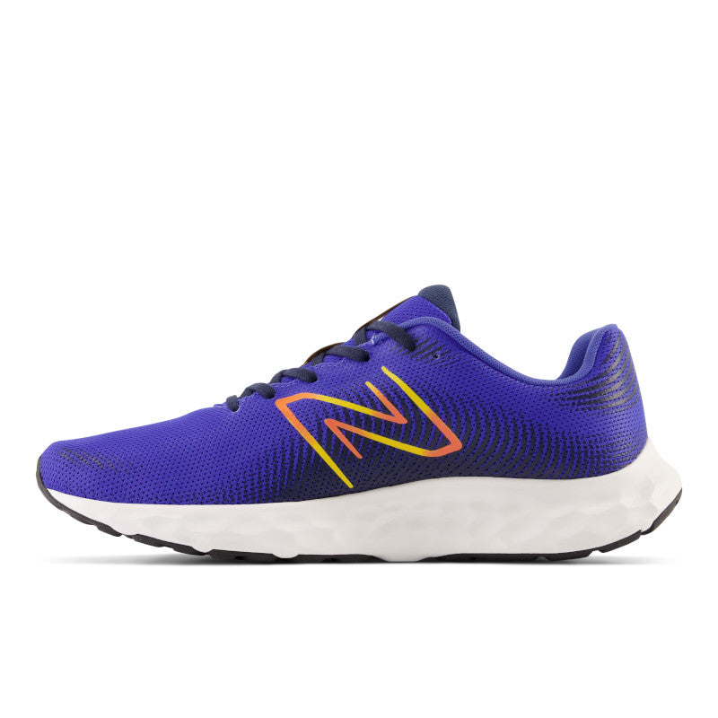 E420 V3